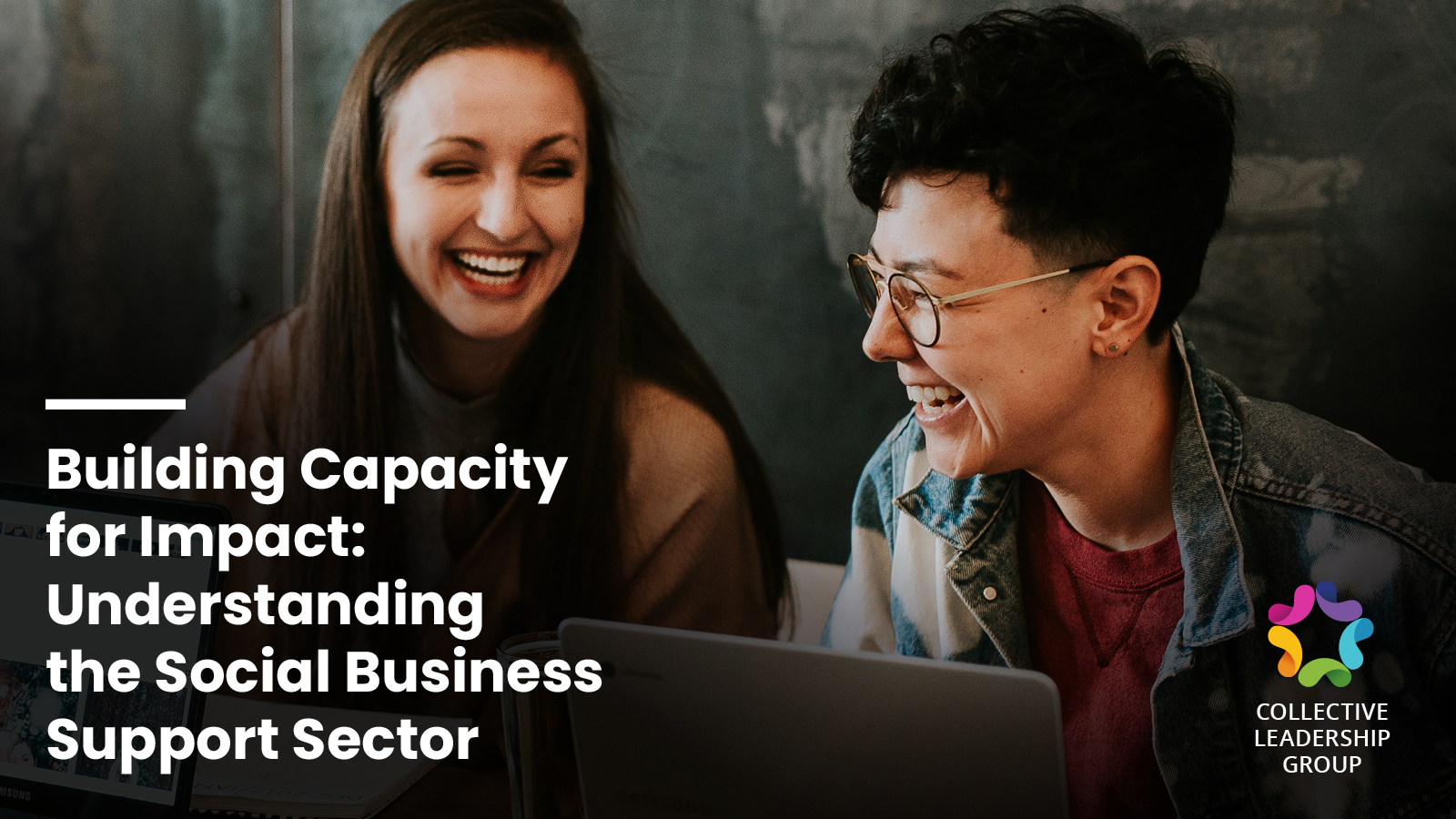 Building Capacity for Impact: Understanding the Social Business Support Sector